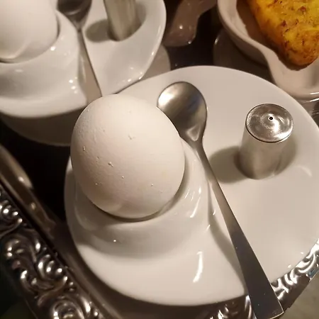 里科德利耶酒店 酒店 的里雅斯特